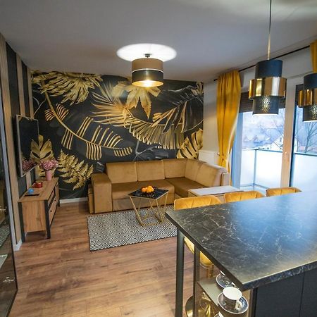 Apartament W Cieplicach Gold 耶莱尼亚古拉 外观 照片