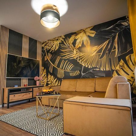 Apartament W Cieplicach Gold 耶莱尼亚古拉 外观 照片